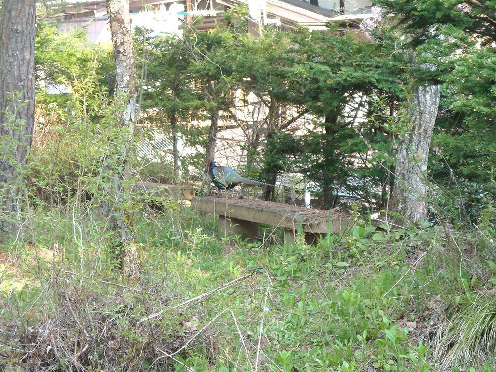 Hida Gasshoen Takayama  Exterior foto